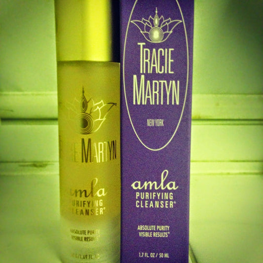 Tracie Martyn Amla Purifying Cleanser